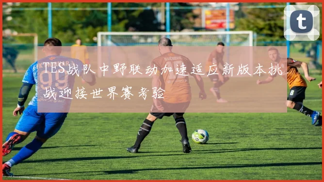 TES战队中野联动加速适应新版本挑战迎接世界赛考验